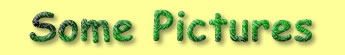 Pictures